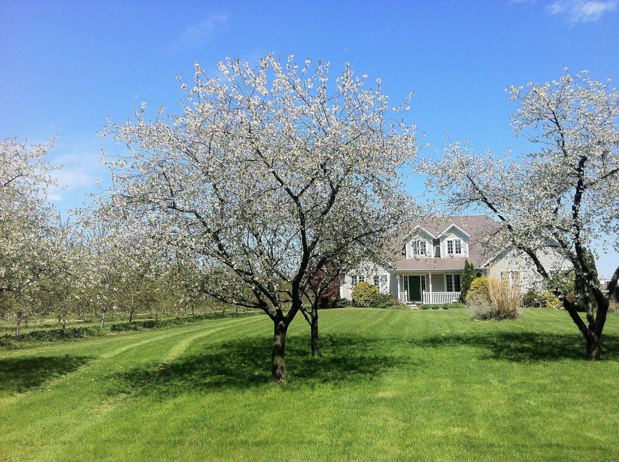 The Orchard Croft Boutique Country Retreat Bed and Breakfast Jordan Exterior foto